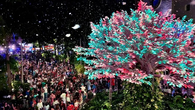 Snow falling in front of The Wishing Tree at CityPlace