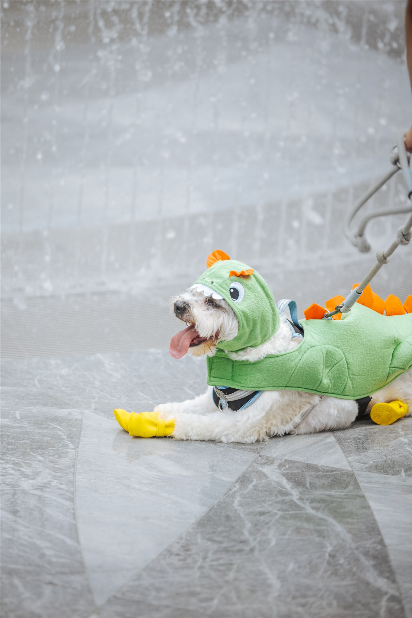 Pooch Parade_Dino Costume