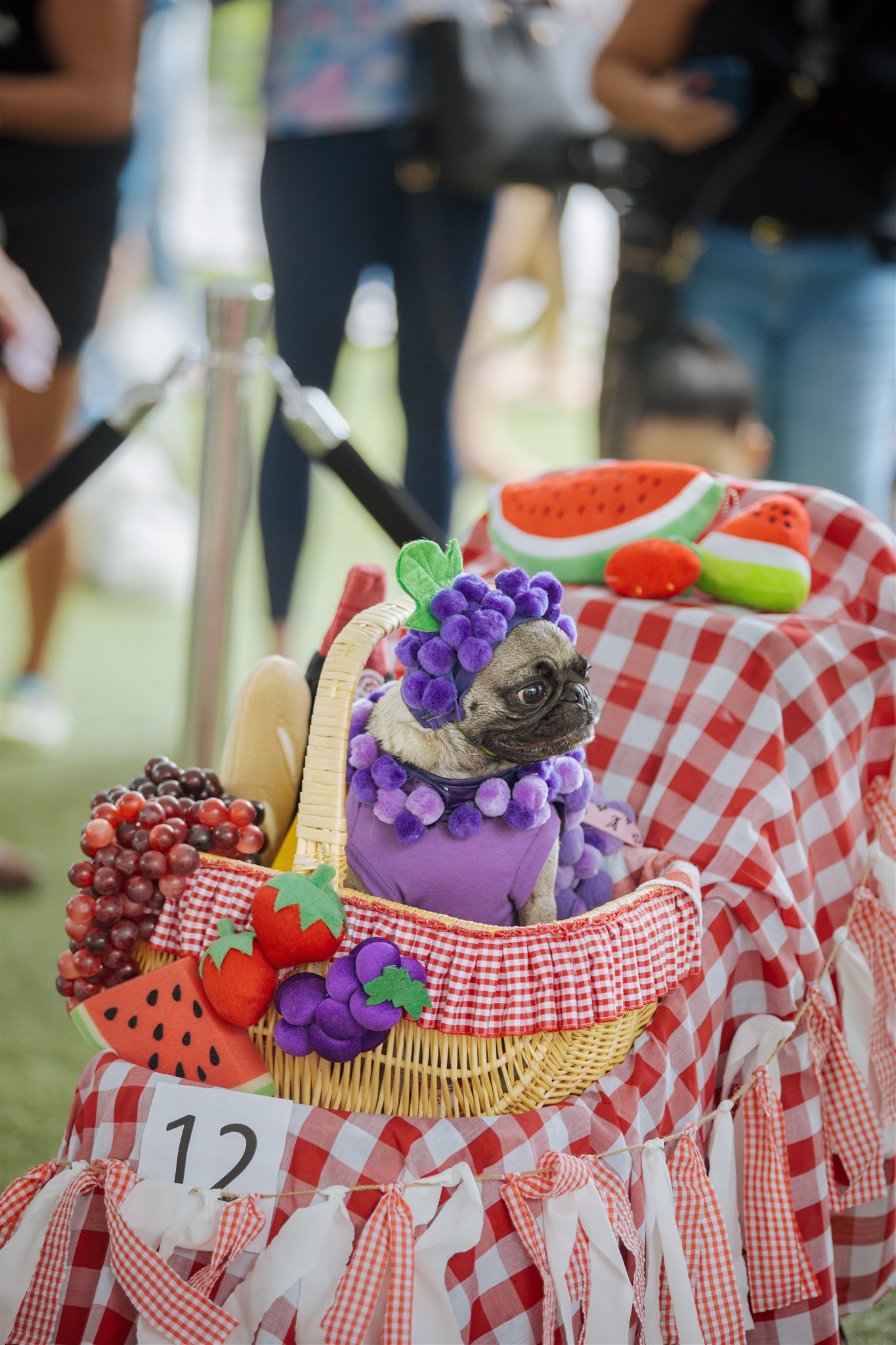 Pooch Parade_Fruit Basket