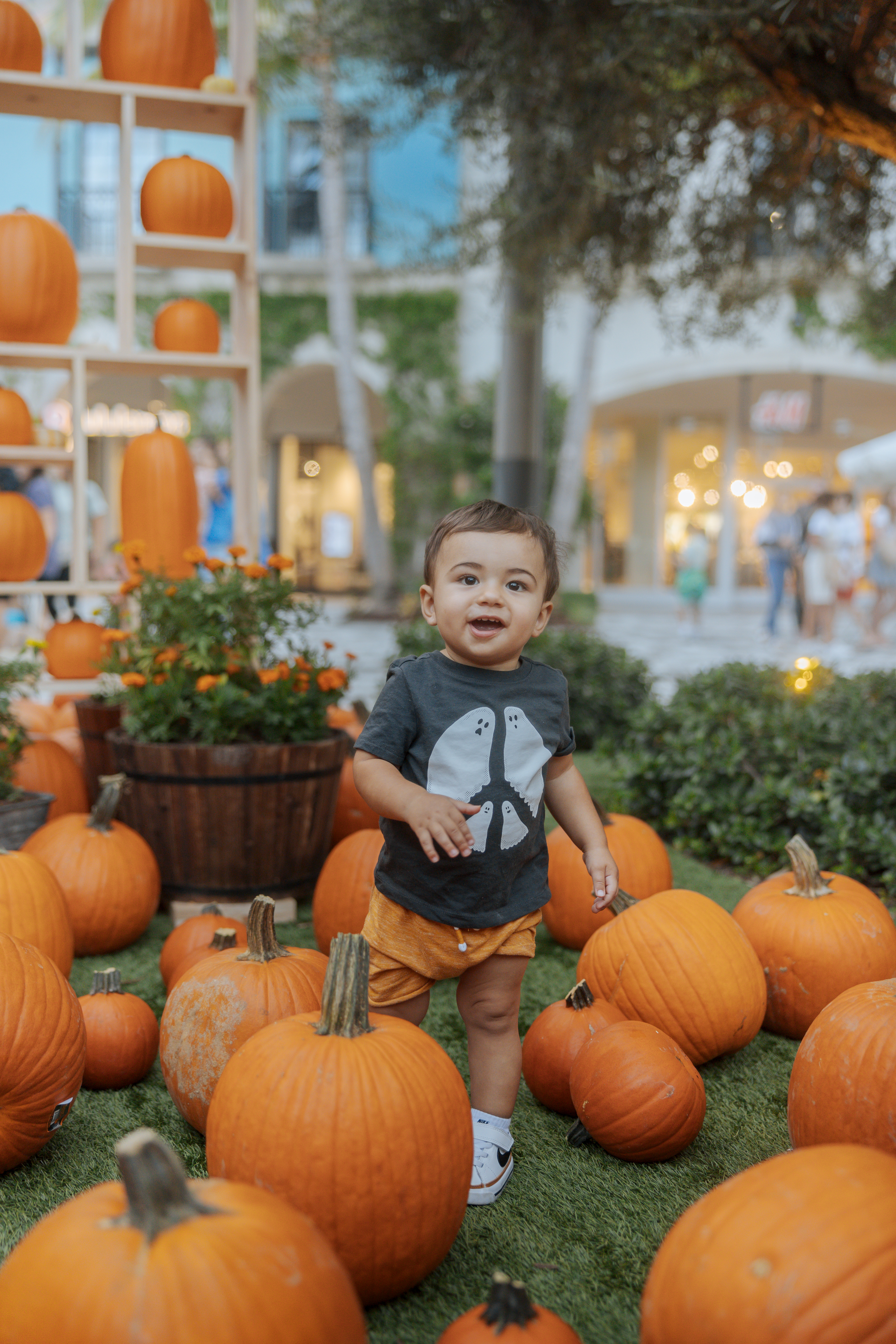 Child in pumpkin patch at the lawn