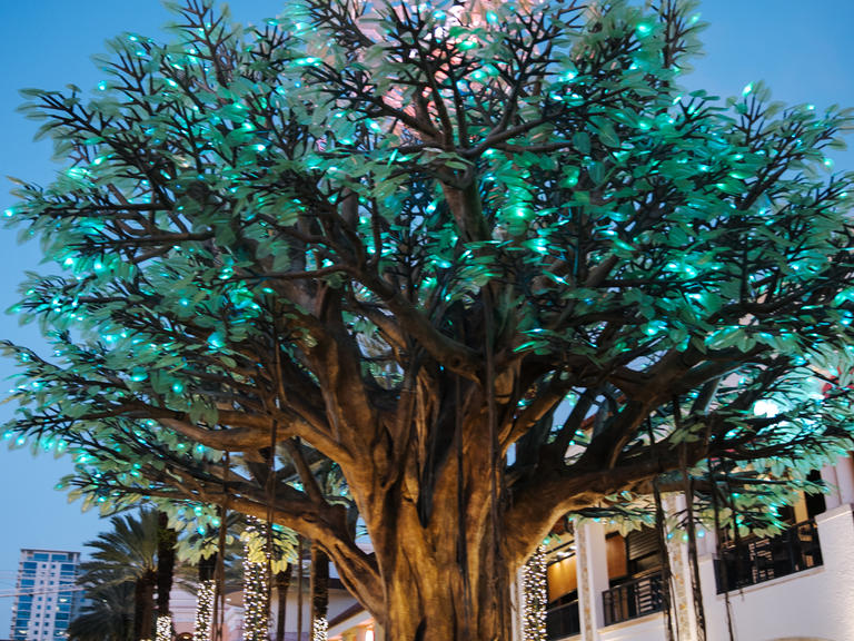 wishing tree lit up green