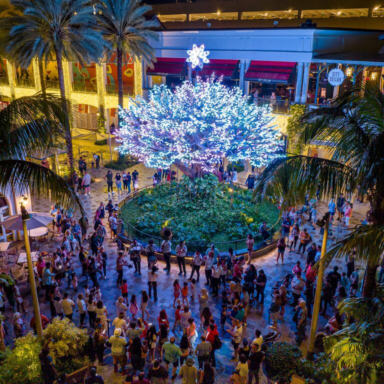 People standing around a light up LED tree