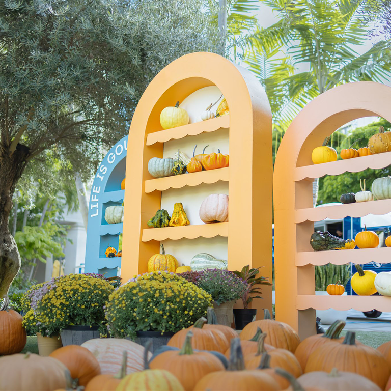 Pumpkin Patch at CityPlace